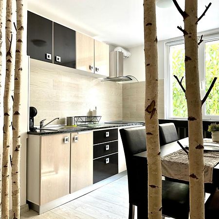 Scandinavia Apartament Piatra Neamţ Extérieur photo