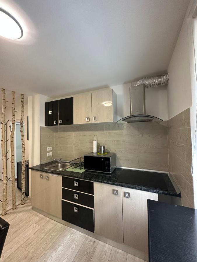 Scandinavia Apartament Piatra Neamţ Extérieur photo